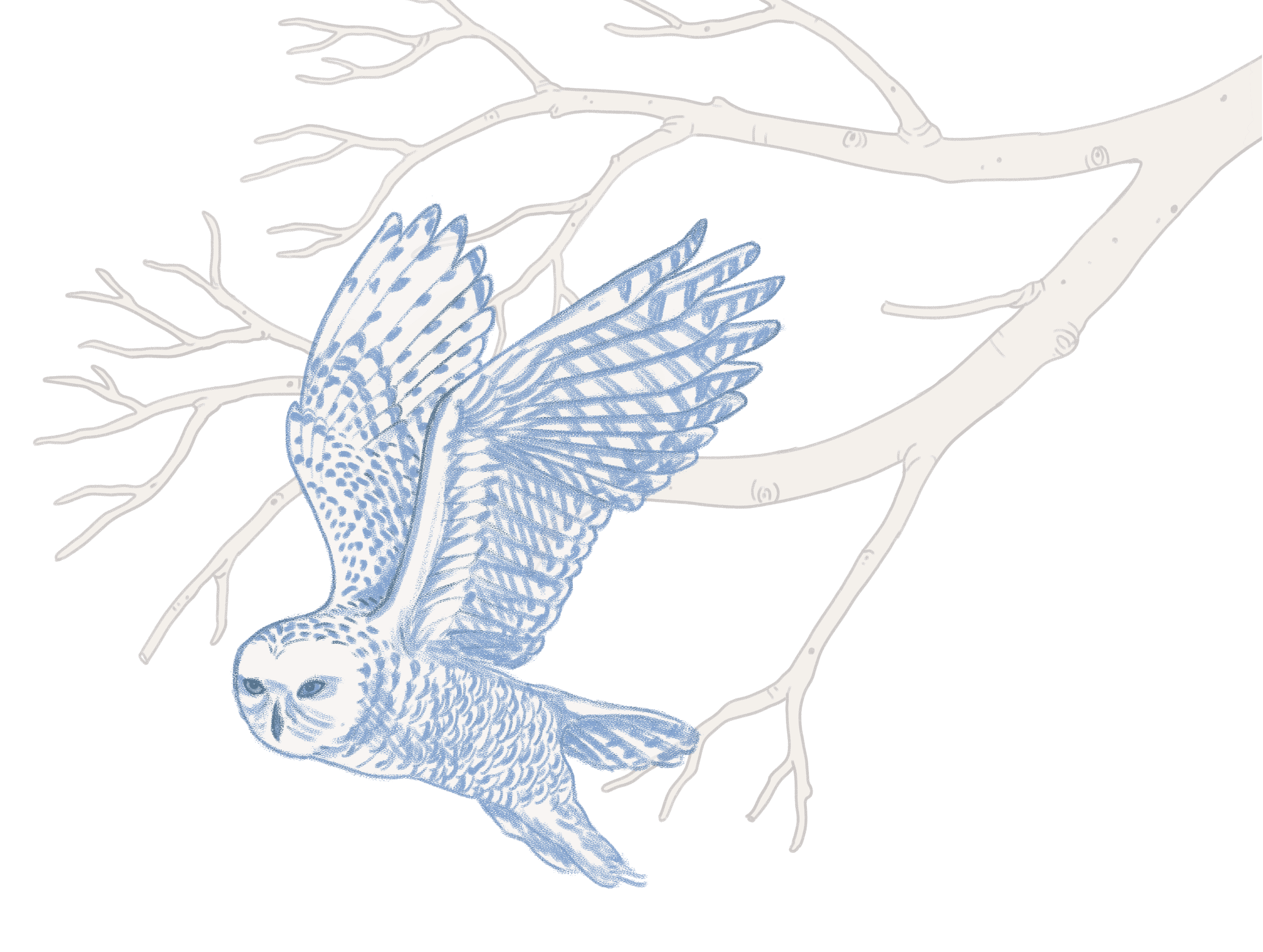 Open science is better science.