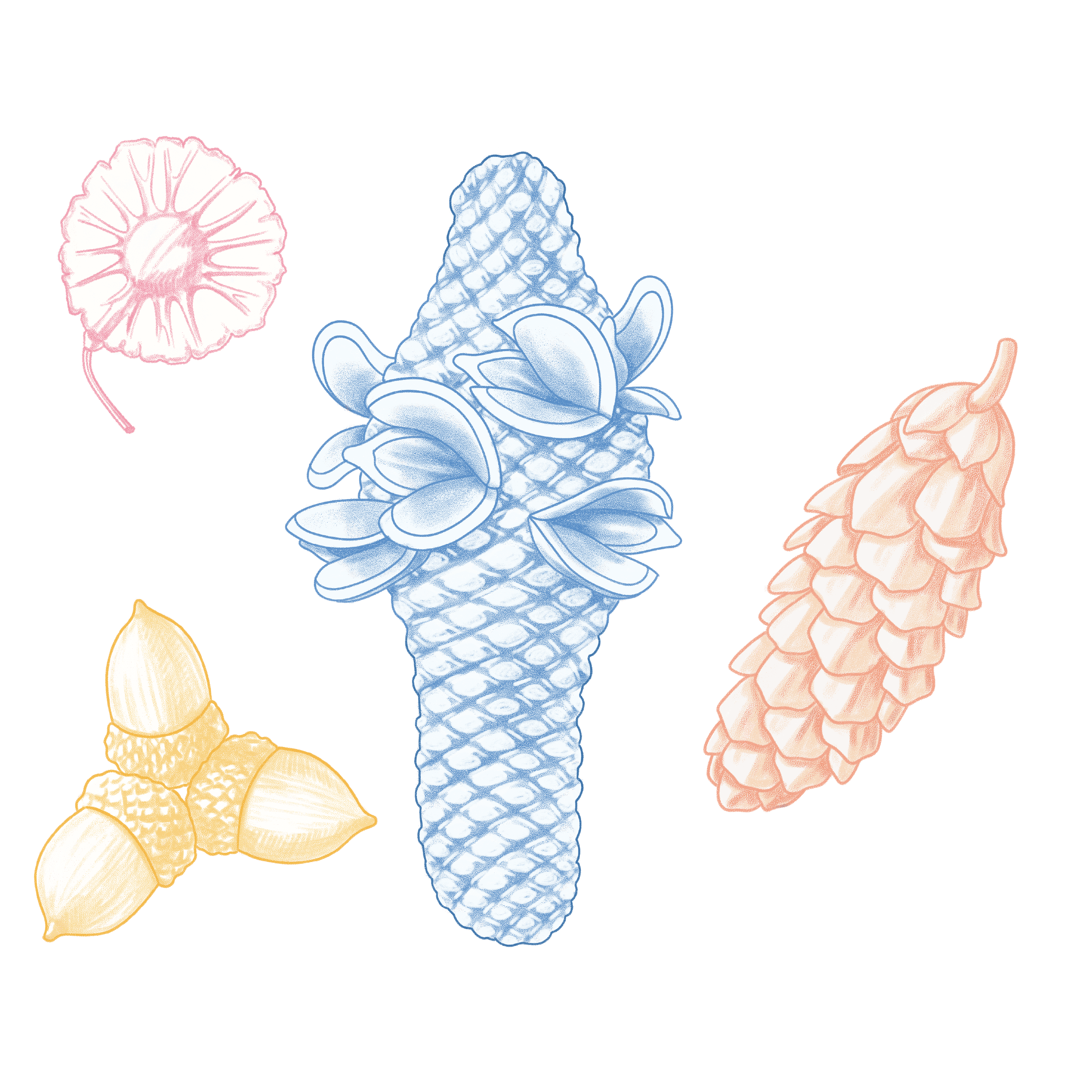 Tools for researchers.